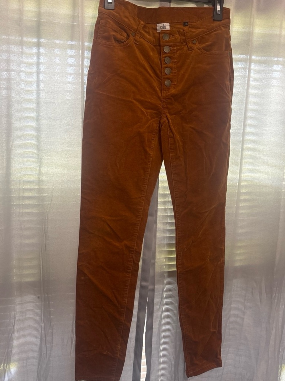 CAbi Men’s Corduroy Pants in Rust
